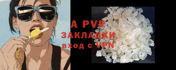 гидра Липки