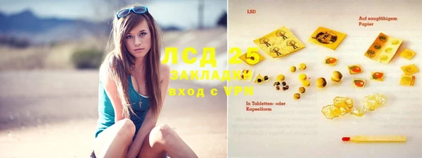 гидра Липки