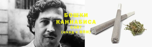 гидра Липки