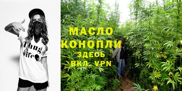 гидра Липки