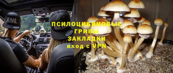 крисы Лиски
