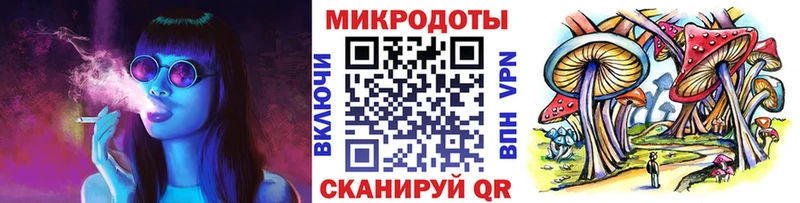 Галлюциногенные грибы Psilocybe Белокуриха
