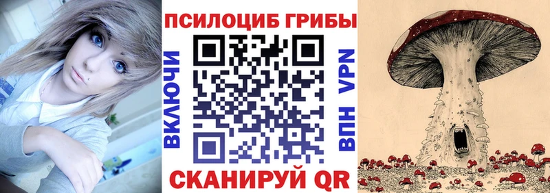 Галлюциногенные грибы Psilocybine cubensis  Белокуриха 